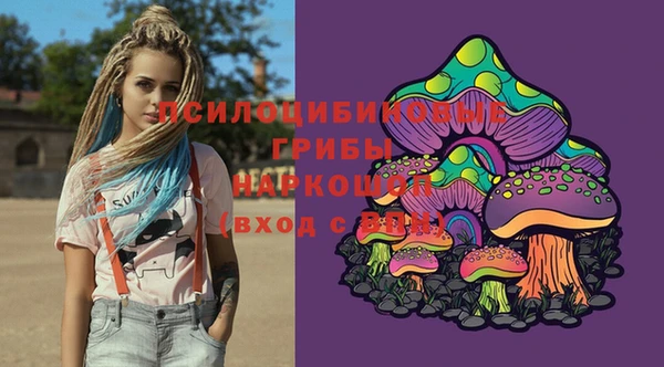стаф Абаза