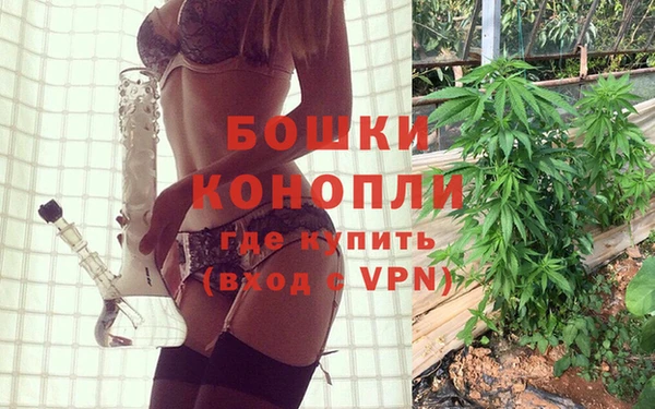 стаф Абаза