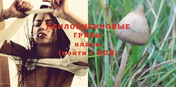 гашик Абдулино