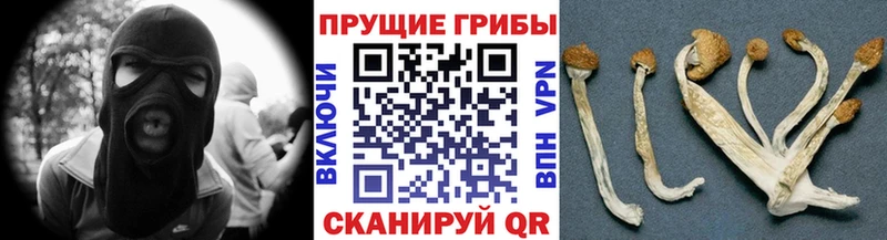 Галлюциногенные грибы прущие грибы  наркошоп  Моршанск 