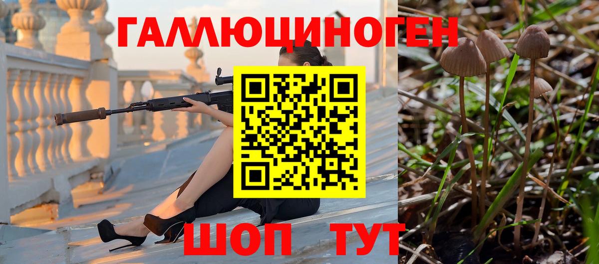 Галлюциногенные грибы Cubensis  Вход с VPN  Моршанск 