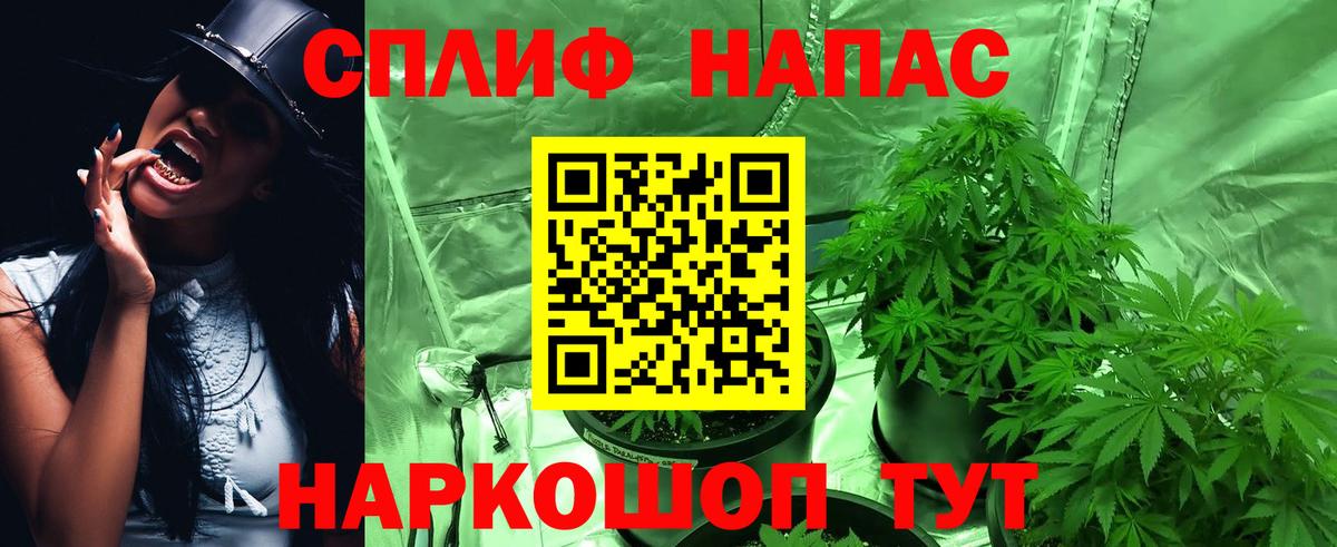 Канабис планчик  Канабис VHQ  Вход с VPN  Моршанск  Шишки марихуана SATIVA & INDICA 